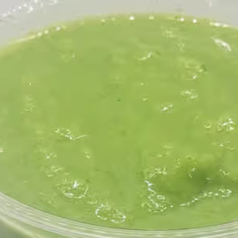 Delicious Tropical Smoothie Options